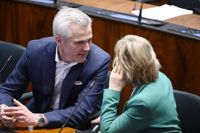 Ja eller nej, det ska SFP:s riksdagsgrupp säga till de riktlinjer som tagits fram om den kommande regerings klimatpolitik och invandringspolitik.