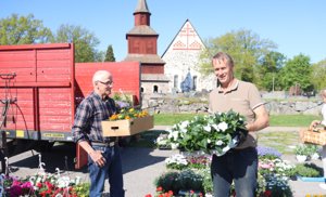 Ingåbon Magnus Backman köper gärna sina blommor hos Anders Wickström. – Jag stöder gärna lokala företagare, säger han.