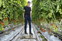 Grönsaksodlaren Jan Hagelberg är tredje generationens trädgårdsodlare i familjen och har arbetat med det på heltid i över 30 år. Men en sådan här vinter har han aldrig varit med om.