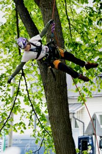 Trots att Boel Hammarstrand är höjdrädd klättrar hon utan problem upp i träden i Stadsparken i Borgå. 