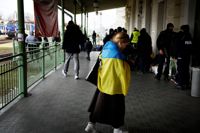 Kriget i Ukraina har skapat en flyktingström bestående av främst kvinnor och barn.