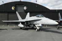 Bland annat flygvapnets F-18 Hornets kommer kunna ses under flyguppvisningen.