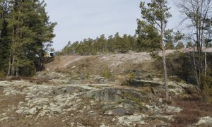 Stenbrottet vid Stallmossaberget i Pickala har ingen verksamhet längre. Företaget Göran Hagelberg vill förstora området.