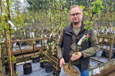 Medejer af Midtjysk Gartnerhal, Jesper Pedersen, viser her et søjleæbletræ, der er perfekt at plante i en krukke til terrassen.