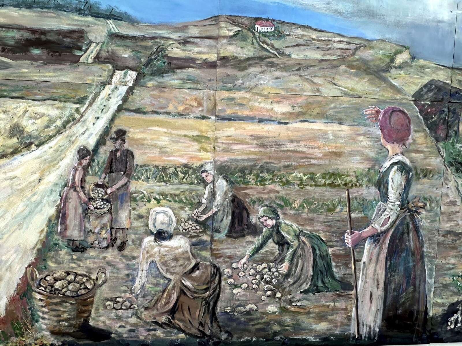 Et slidsomt arbejde i de nyopdyrkede marker ventede de såkaldte kartoffeltyskere, der indfandt sig på Alheden omkring 1760.