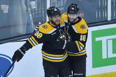 David Pastrnak (nummer 88) bliver lykønsket efter et af sine mange mål for Boston Bruins. På tværs af 11 sæsoner i NHL har han tegnet sig for 920 point fordelt på 430 mål og 490 assists i 846 kampe.