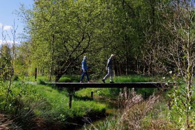 En række jorde i Skanderborg Kommune skal omdannes til natur som led i den grønne trepart. Det får 600 lodsejere besked om i et brev, som kommunen udsender i den kommende tid.