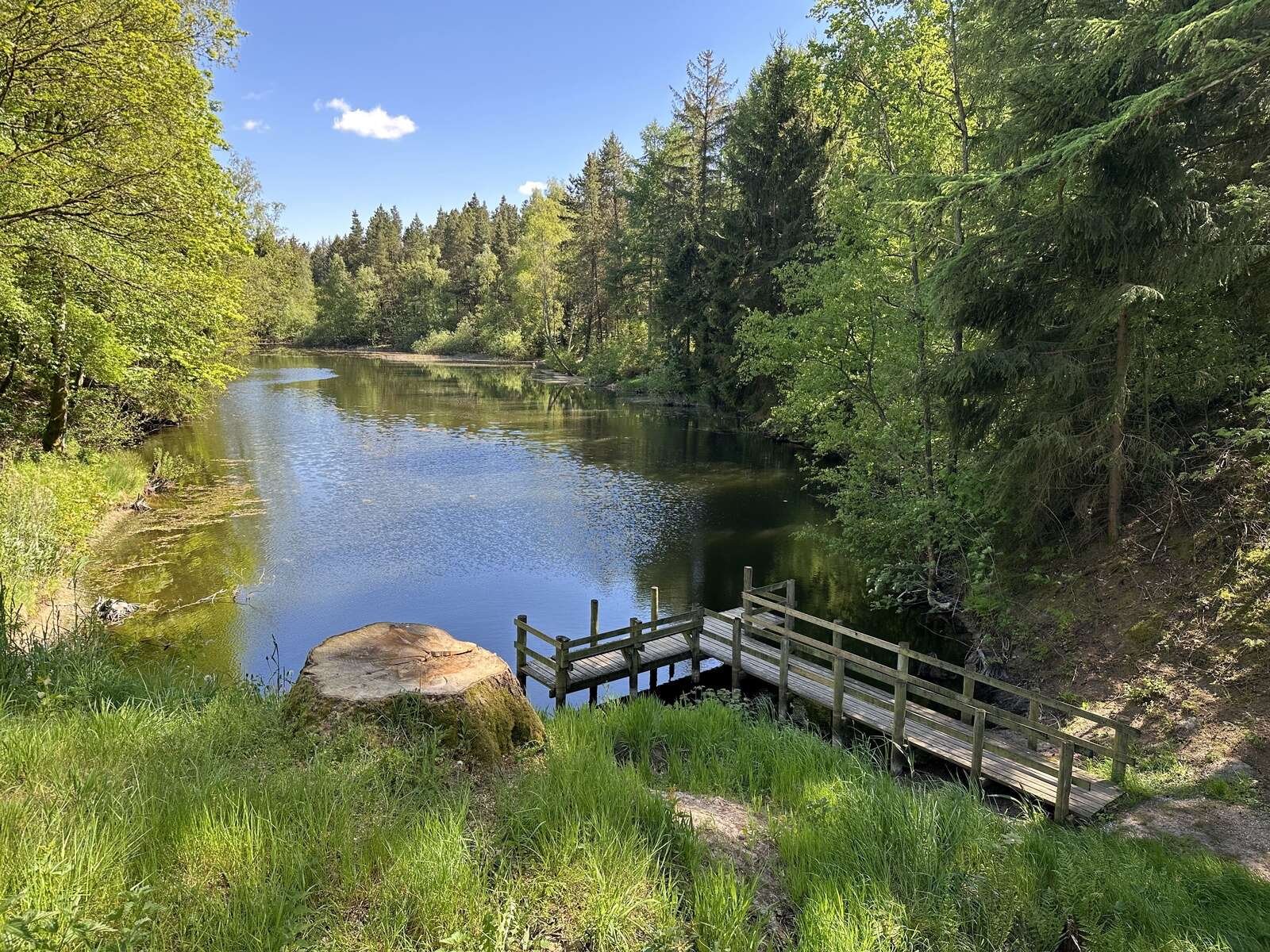 Idyllisk og romantisk tager den sig ud, Sdr. Resen Naturpark, der ud over handicapvenlig adgang til søen også rummer fire forskellige vandrestier af varierende længde.