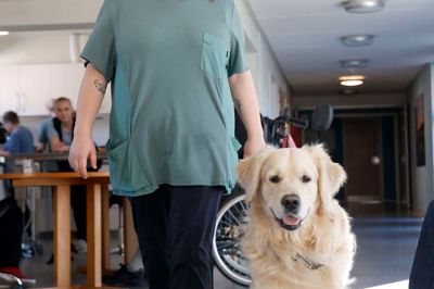 Golden retrieveren Carlo spreder glæde på Plejecentret Toftebo, når den er med sin ejer, Josefine Nedenskov Christensen, på arbejde. Nu er hun - ikke hund - udvalgt som en af hundrede medarbejdere fra velfærdsfagene, som modtager Velfærdens Talent-pris.