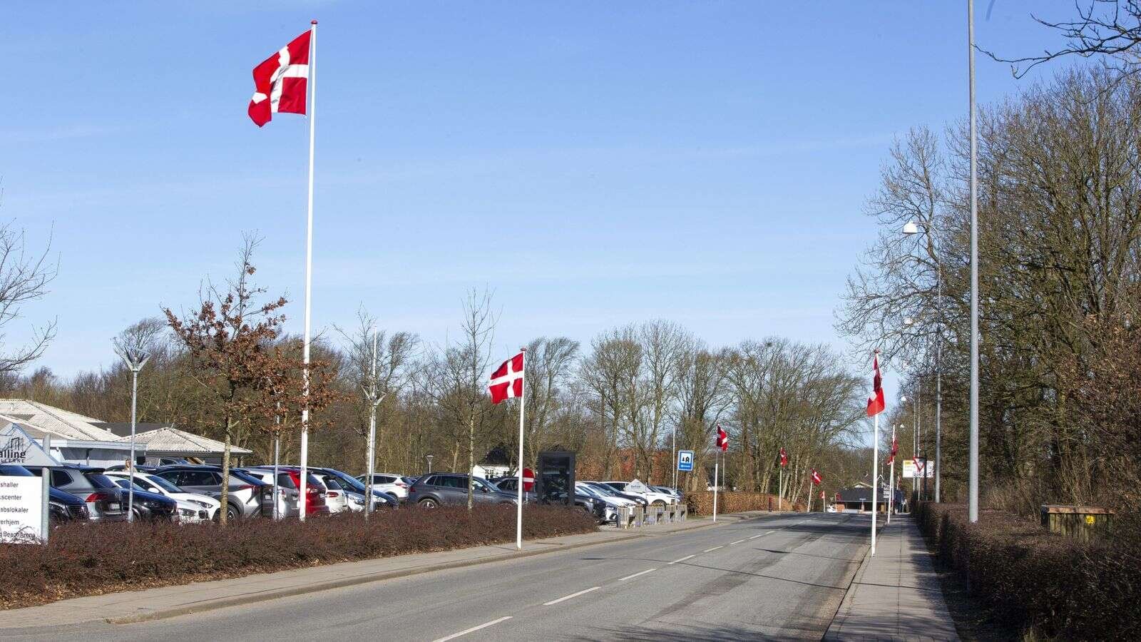 Gymnastikopvisning er altid et lokalt tilløbsstykke og en festlig dag. Så naturligvis var byens flagallé oppe i dagens anledning. Foto: Jan Sand