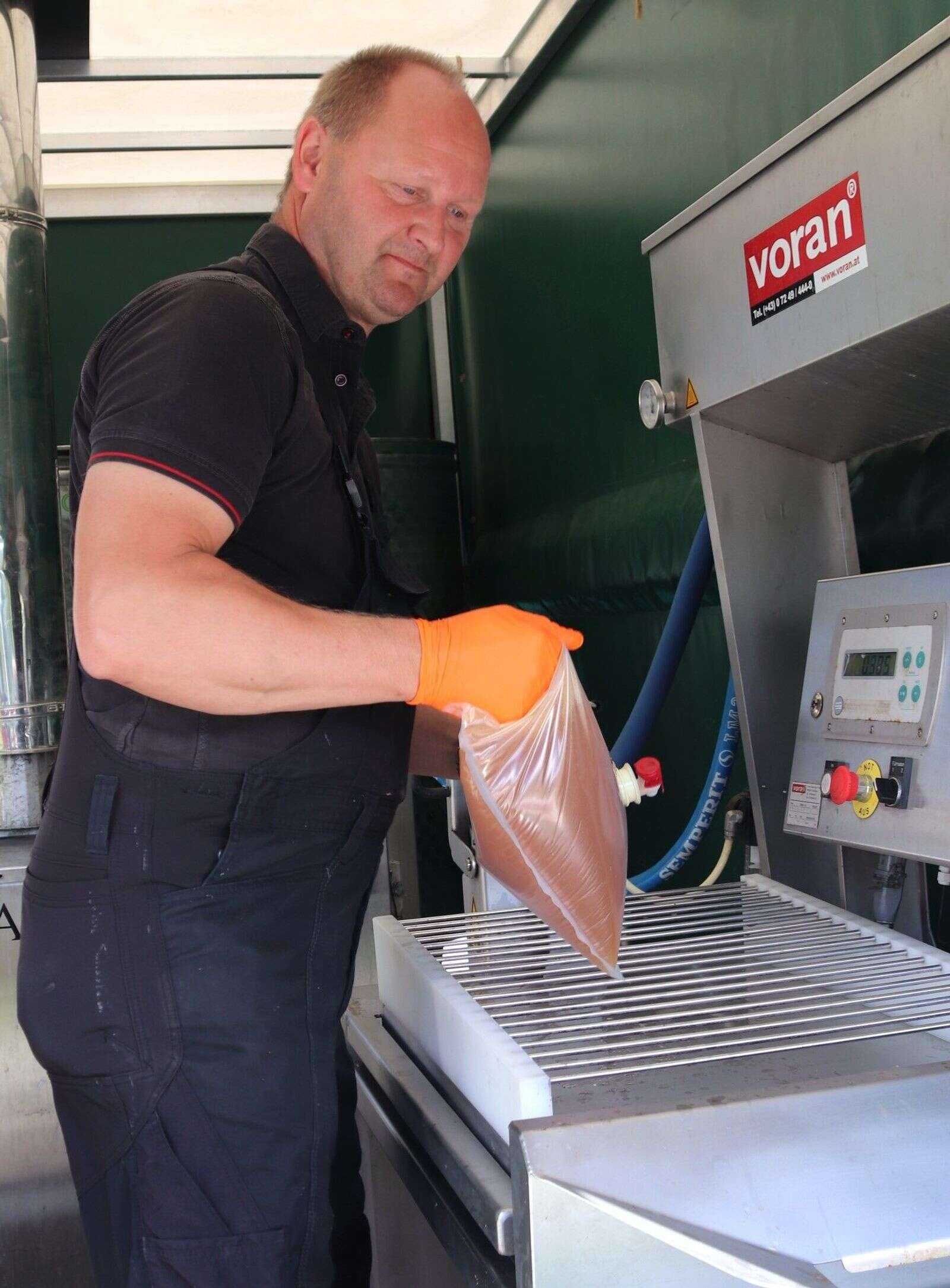 Mosten bliver pasteuriseret og kommer i 3 l kartonner. Foto: cvm
