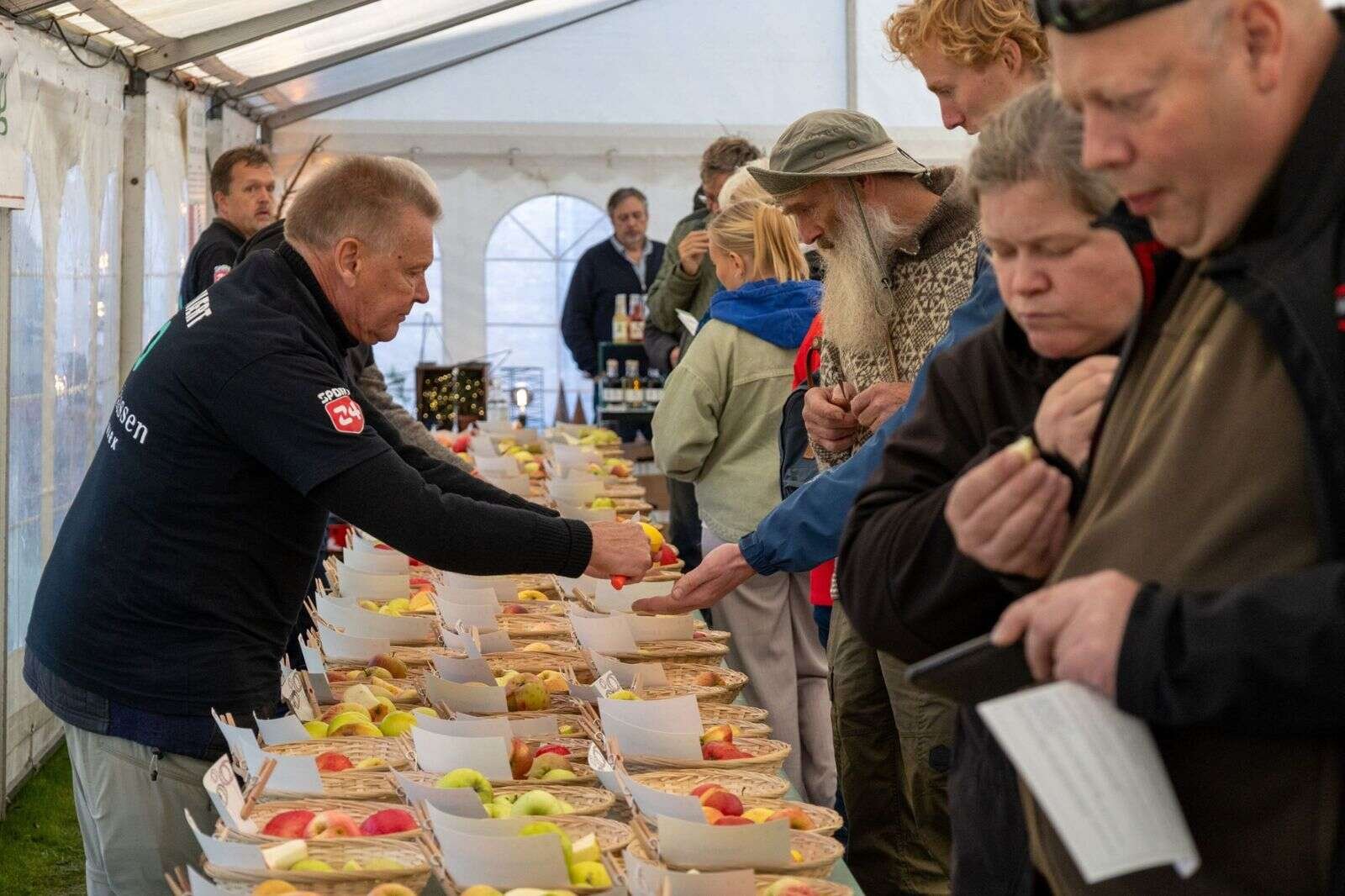 Æbleudstillingen præsenterer mere end 120 forskellige æblesorter, som man kan smage og lære om. Foto: Mette Ploughmann Høegh