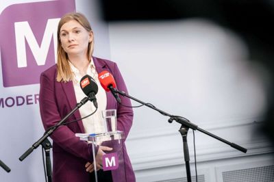 Rosa Eriksen vil ikke tillade rugemødre at tage penge for deres graviditet. (Arkivfoto).