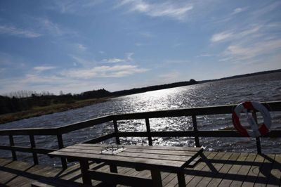 Der er i forvejen herligt her ved Jordbro Engsø, men med midler fra Norlys Vækstpulje til et grønt naturrum på et landbrugsareal ind mod Knudby bliver her endnu dejligere. Arkivfoto: Henrik Bagge
