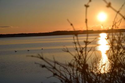 Under den glimtende overflade er Hjarbæk Fjord i dag et af landets mest pressede fjordområder.