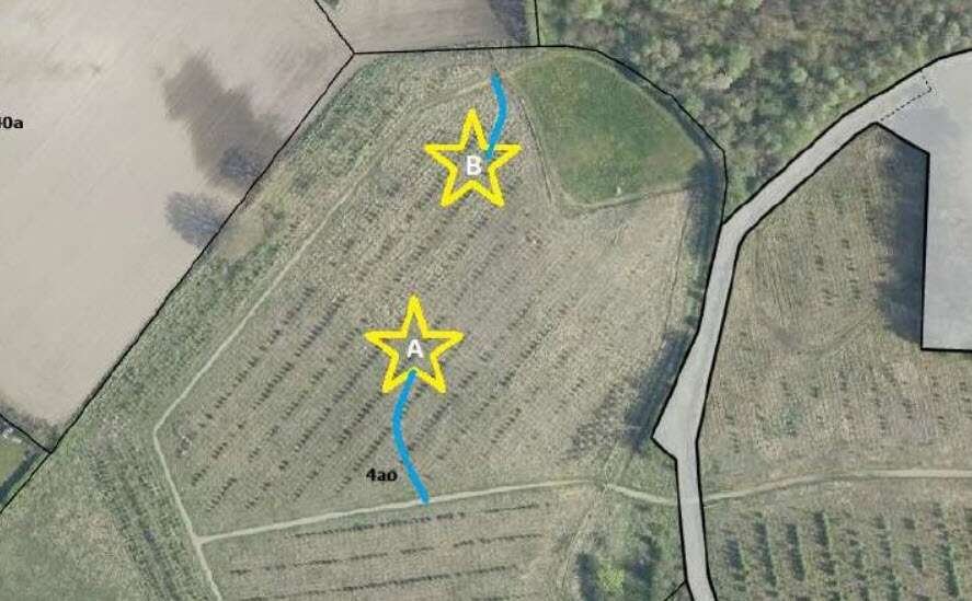 På denne oversigt fra Hald Folkeskov viser A det byggefelt på 12 x 12 meter, hvor selve "Helle Haltben" skal opføres, og B det byggefelt på 9 x 9 meter, hvor hendes fritliggende ben skal opføres. De blå streger angiver adgangssporene gennem skoven til skulpturen. Illustration: Skive Kommune