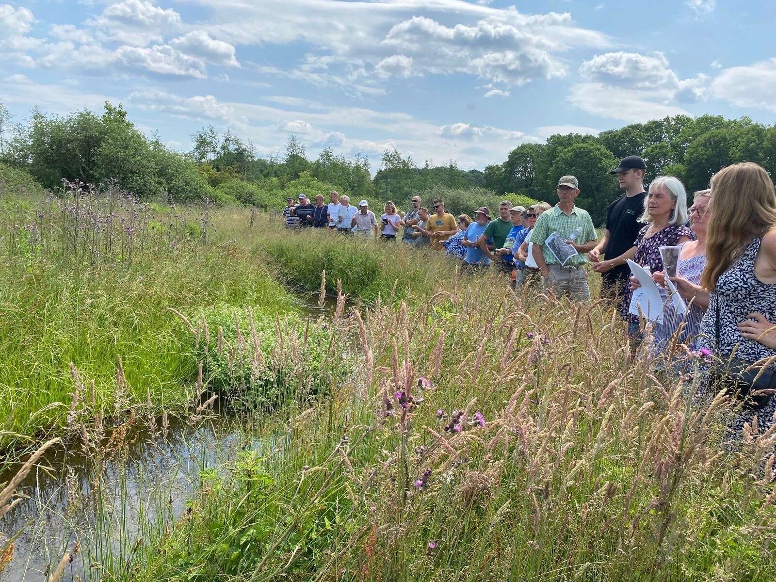 Projektleder og agronom Keld Schrøder-Thomsen fra Natur og Vand i Viborg Kommune gik i forvejen og trampede en sti, da han var guide gennem det nye vådområde ved indvielsen den 18. juni 2023. Nu bliver planerne om at etablere et officielt stiforløb gennem vådområdet realiseret. Arkivfoto: Anne Kirstine Hansen