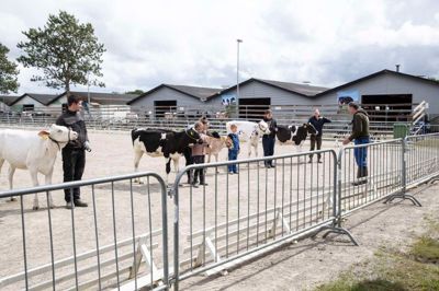 Billede fra sidste års landsskue i Herning.