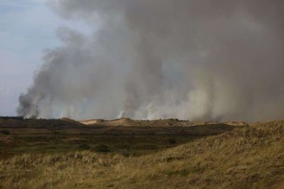 Røgen fra den omfattende plantagebrand kan ses vidt og bredt i området omkring Skagen.