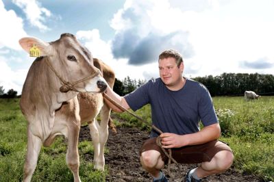Michael Arensman med kvien af racen brown swiss, mens kvien af den gamle danske kvægrace jysk kvæg græsser i baggrunden. Det er disse to kvier, som Michael Areansman og hans kæreste, Sheena Kristensen, udstiller på Aulum Dyrskue.