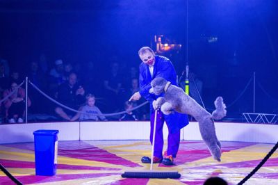 Hunde er altid et fast indslag hos Cirkus Mascot, som kommer til lokalområdet i starten af august.