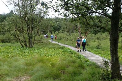 Bryggervandringen byder på flere ruter. Den længste kommer næsten hele vejen rundt om Bølling Sø.