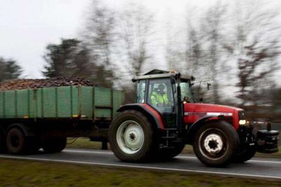 Lige nu er det kartoffeltransporterne, der fylder godt på vejene omkring Karup. Der hentes og køres kartofler fra et stort opland og til Karup. Foto: Morten Marboe