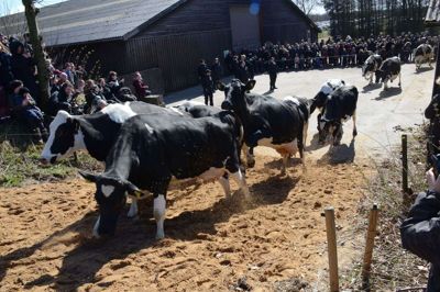 Havredal Praktiske Uddannelser har tidligere været med til økodag.