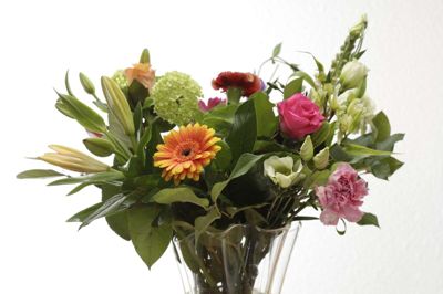 En buket blomster som denne er endnu ikke klimavenlig. Men det kan den måske blive i fremtiden. Foto: Hans Prinsen