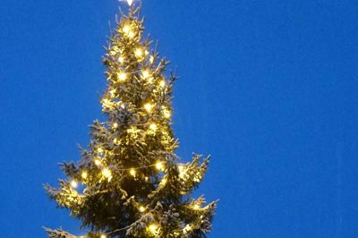 Klar til juletræstænding i Frederiks.