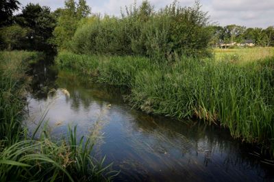 Herning Kommune kan byde på noget af verdens bedste laksefiskeri, og det skal projektet Riverfisher fortsat sætte fokus på.