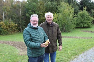 Der er allerede et gammelt pære-træ i frugthaven. Men inden længe vil området blive fyldt med frugttræer, fortæller Lars Daugaard (th) og Anders Hartvig fra lokalrådet.