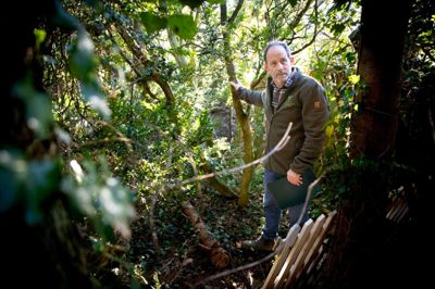 Billedet her ligner forår, men det er taget i februar i frostvejr. Det er alle de stedsegrønne, der giver junglefornemmelsen i skellet ind mod en af naboerne i Charles Le Stranges have. Foto: Jakob Stigsen Andersen