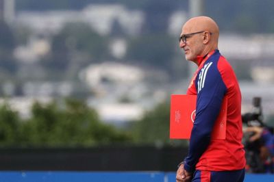 Efter ni år som ungdomslandstræner afløste Luis de la Fuente i december 2022 Luis Enrique som spansk landstræner.