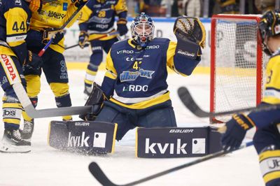 Herningensiske Mathias Seldrup har disket op med flere gode redninger i løbet af sæsonen for Herning Blue Fox, der nu står med tre sejre på stribe.