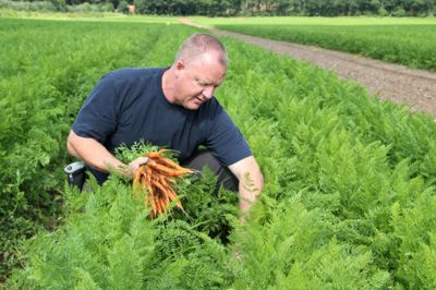 Klaus Vestergaard er ikke tilfreds med regnskabet, selv om der er overskud. Stigende omkostninger og dårlige produktionsforhold er en del af forklaringen på det lavere resultat.