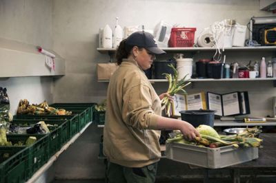 31-årige Sofie Hansen har arbejdet som dyrepasser og zoolog i Jyllands Park Zoo siden 2019. Foto: Malene Tswai