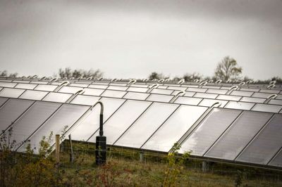Kun et af tre projekter om solcelleparker i Skanderborg Kommune slap helskindet gennem den første politiske behandling. Foto: Martin Ballund
