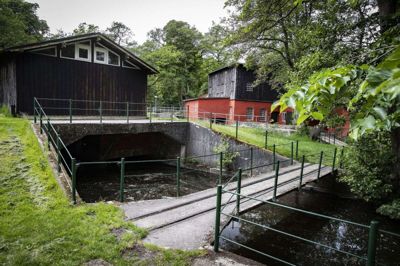 Skanderborg Kommune har nu givet sin officielle, politiske støtte til kampen for at bevare offentlig adgang på Klostermølle. Foto: Martin Ballund