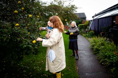 Fællesskabet på Vadestedet i Ry kan være mange ting. Blandt andet at plukke frugter i kollektivets have. Her er Anne Uhrenholt (til venstre) i gang sammen med sønnen Elmer og Inge Thomsen.
