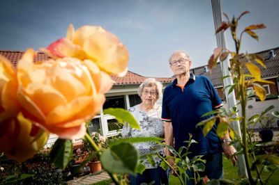 Roser er Karen og Ejner Christensens helt store fælles passion. Og roserne har stået så smukt som aldrig før i denne sommer, hvor de kan fejre jernbryllup - 70 års ægteskab.
