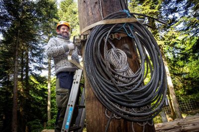 Lars Nyhuus var første mand i masten, da han skulle kravle op og fjerne de wirer, der var spændt fast, så kranen kunne løfte den 6,2 tons tunge stamme. Foto: Jakob Stigsen Andersen