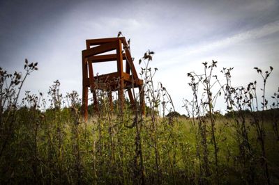 De to store rundkørsler på Kjellerups omfartsvej skal være pænere, mener Birthe Andersen. Der vokser meget ukrudt i dem lige nu, og det er ikke den form for biodiversitet, hun ønsker. Der må gerne være mere styr på både form og indhold i de to rundkørsler, mener hun. Foto: Martin Ballund