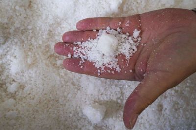 Du kan faktisk vænne dine smagsløg til at nøjes med mindre salt i maden. Anne W. Ravn, som er klinisk diætist på Aarhus Universitetshospital, anbefaler, at man gradvist nedtrapper i en periode på tre uger. Sæt et mål på eksempelvis en teskefuld salt om dagen, og trap så ned med lidt for hver dag. (arkivfoto) Peter Endig/Ritzau Scanpix