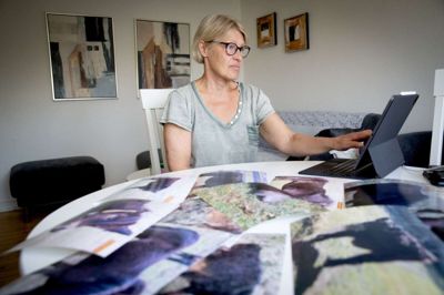 Dorthe Braüner Jensen har i flere år kæmpet mod naturparker og naturnationalparker med indhegnede dyr. Og hun forundret over sigtelsen fra politiet. - Jeg tog bare et æble, som i forvejen lå inde hos hestene. Jeg gav hesten æblet, så jeg kunne dokumentere, at den var udsat for mistrivsel, siger Dorthe Braüner Jensen fra Silkeborg, der har mange billeder af heste, som hun mener er udsultede. Foto: Jakob Stigsen Andersen