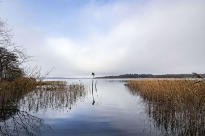 Rundtur om Tange Sø. Foto: Martin Ballund