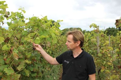 Vinmanden Carsten Jepsen fra Neder Kjærsholm glæder sig over udsigten til varmt vejr og høj sol. Det er godt for vinplanterne. I 2020 så det helt anderledes ud for udbyttet. Vejret var ikke med vinbønderne. Foto: Morten Hallstrøm