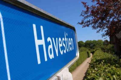 Temperamenterne kogte over på Havestien i Kjellerup Kolonihaveforening den anden dag. Foto: Rasmus Viuff