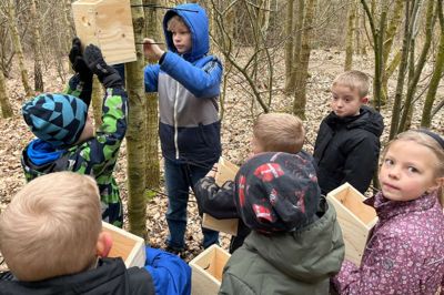 Udover gode samarbejdsevner, blev der brugt strips og boremaskiner til at få mejsekasserne op i rette højde, en til to meter over jorden. Foto: Anders Hartvig.