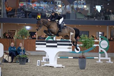 Det var noget af et come-back, Elisabeth Salhøj Rask og hendes hest Casall lavede i sidste weekend ved DM. De tog en bronzemedalje foran flere fuldtidsprofessionelle ryttere. Foto: Ridehesten